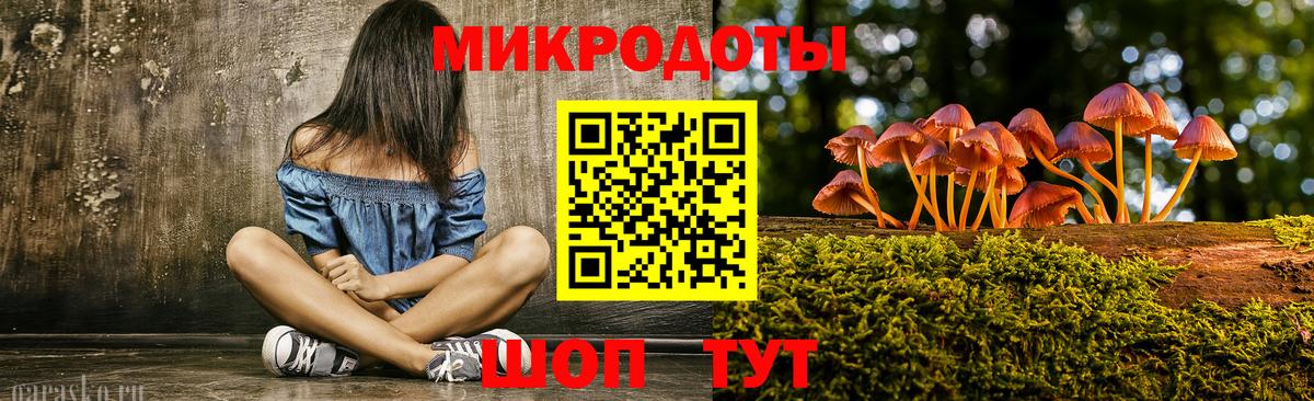 Галлюциногенные грибы Psilocybine cubensis Медногорск