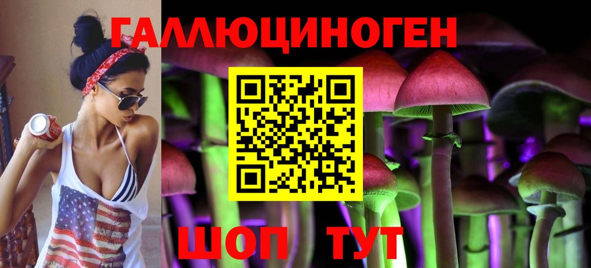 Галлюциногенные грибы мухоморы  Вход с VPN  Медногорск  купить наркотики цена  Галлюциногенные грибы мицелий 